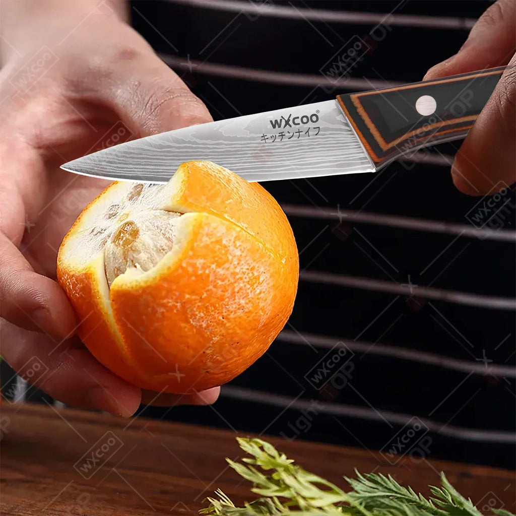 Kitchen Knife Set with Premium Gift Box, Professional High-Carbon Steel Chef Knives with Ergonomic Wooden Handles